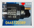 612630090012 0445120391 1003040068 Fuel Injector Assembly OEM