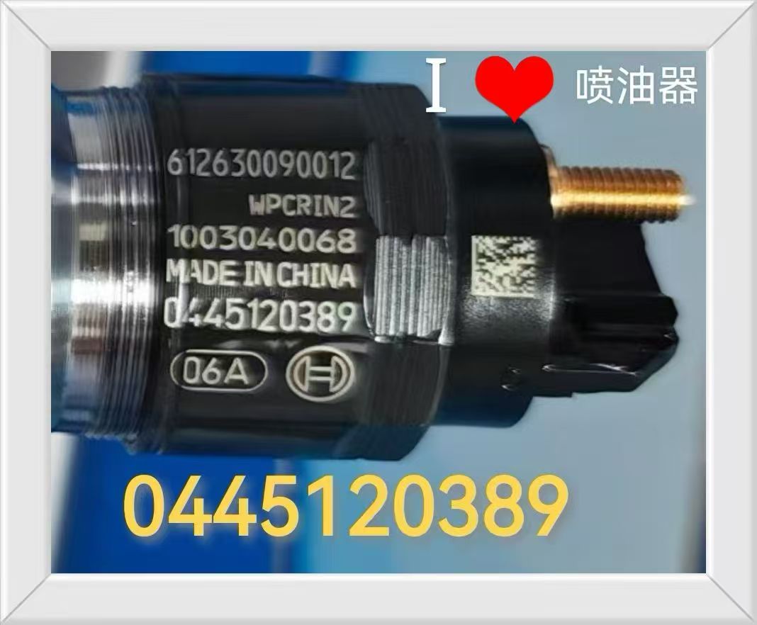 612630090012 0445120391 1003040068 Fuel Injector Assembly OEM