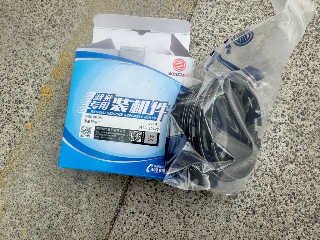 1000380051 Piston Ring Assembly OEM