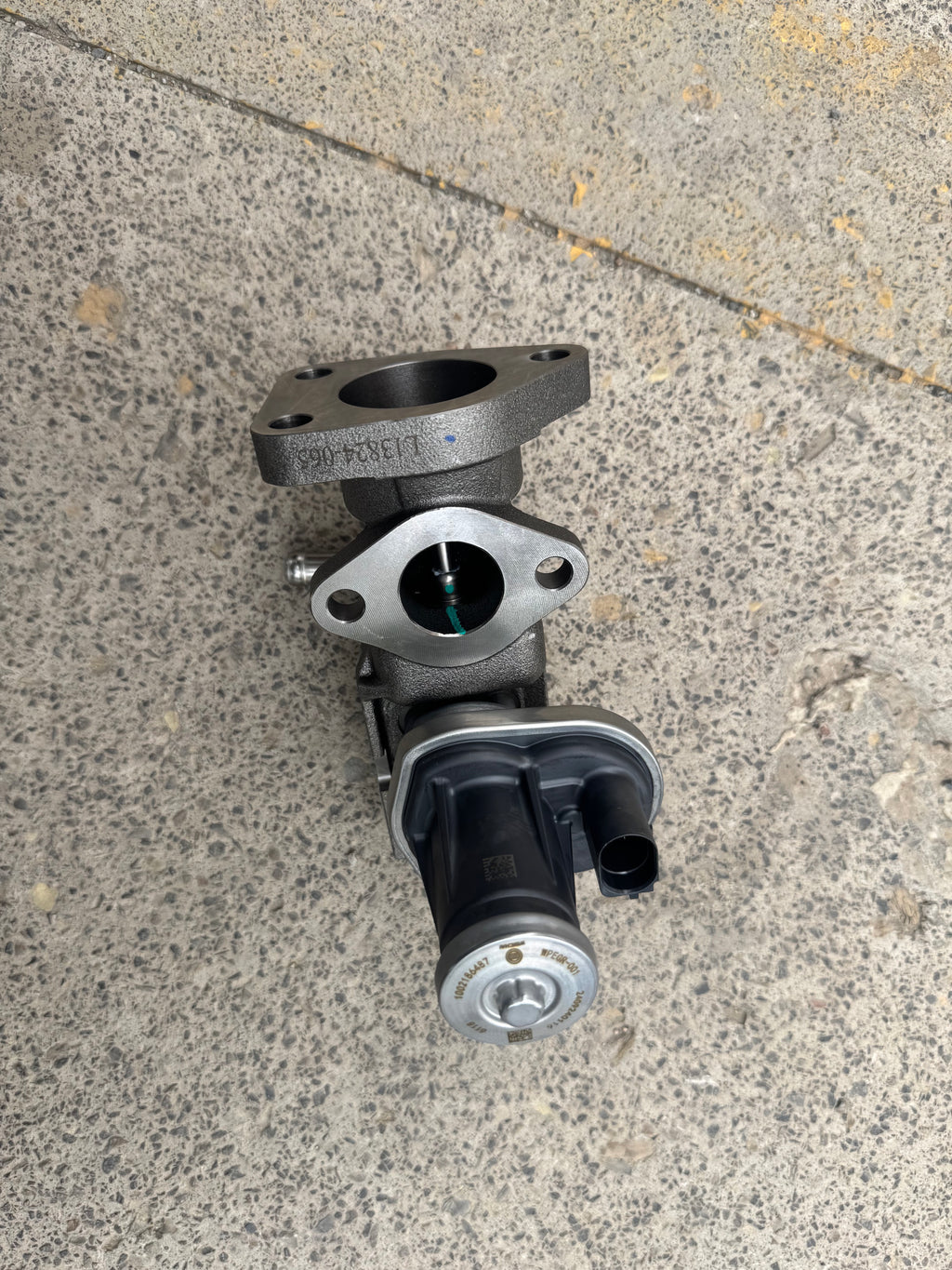 1002186487 EGR valve OEM