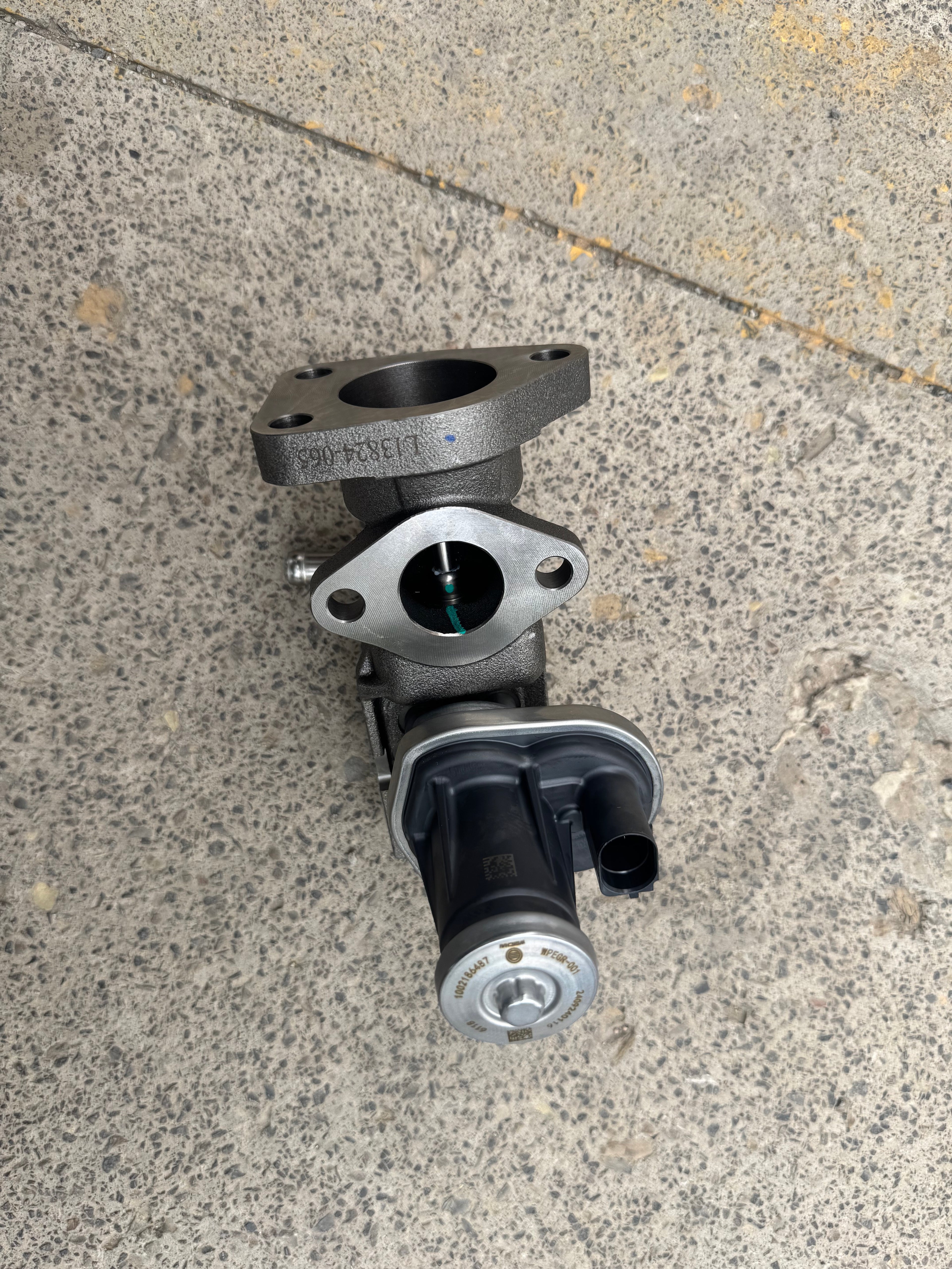 1002186487 EGR valve OEM