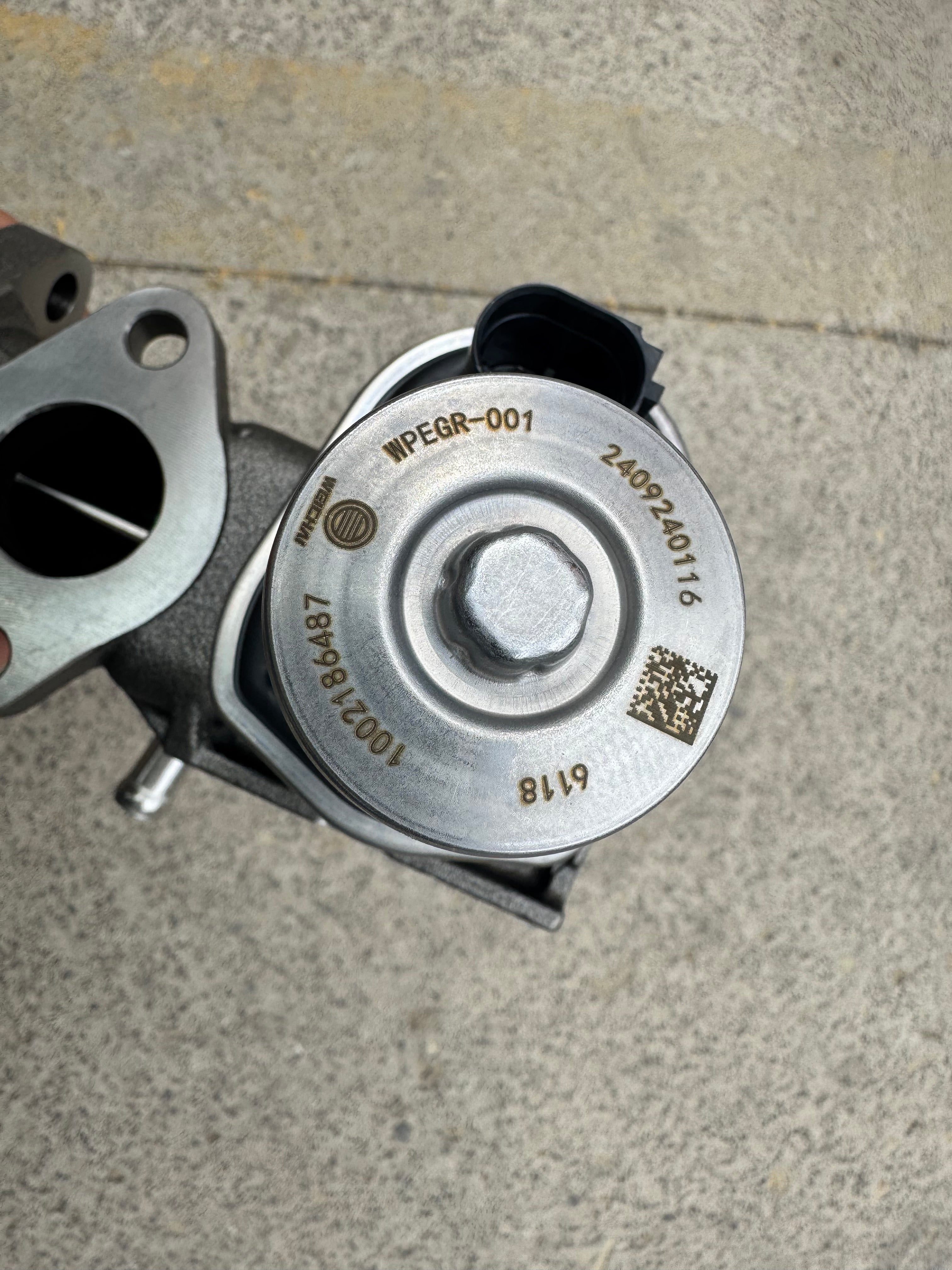 1002186487 EGR valve OEM
