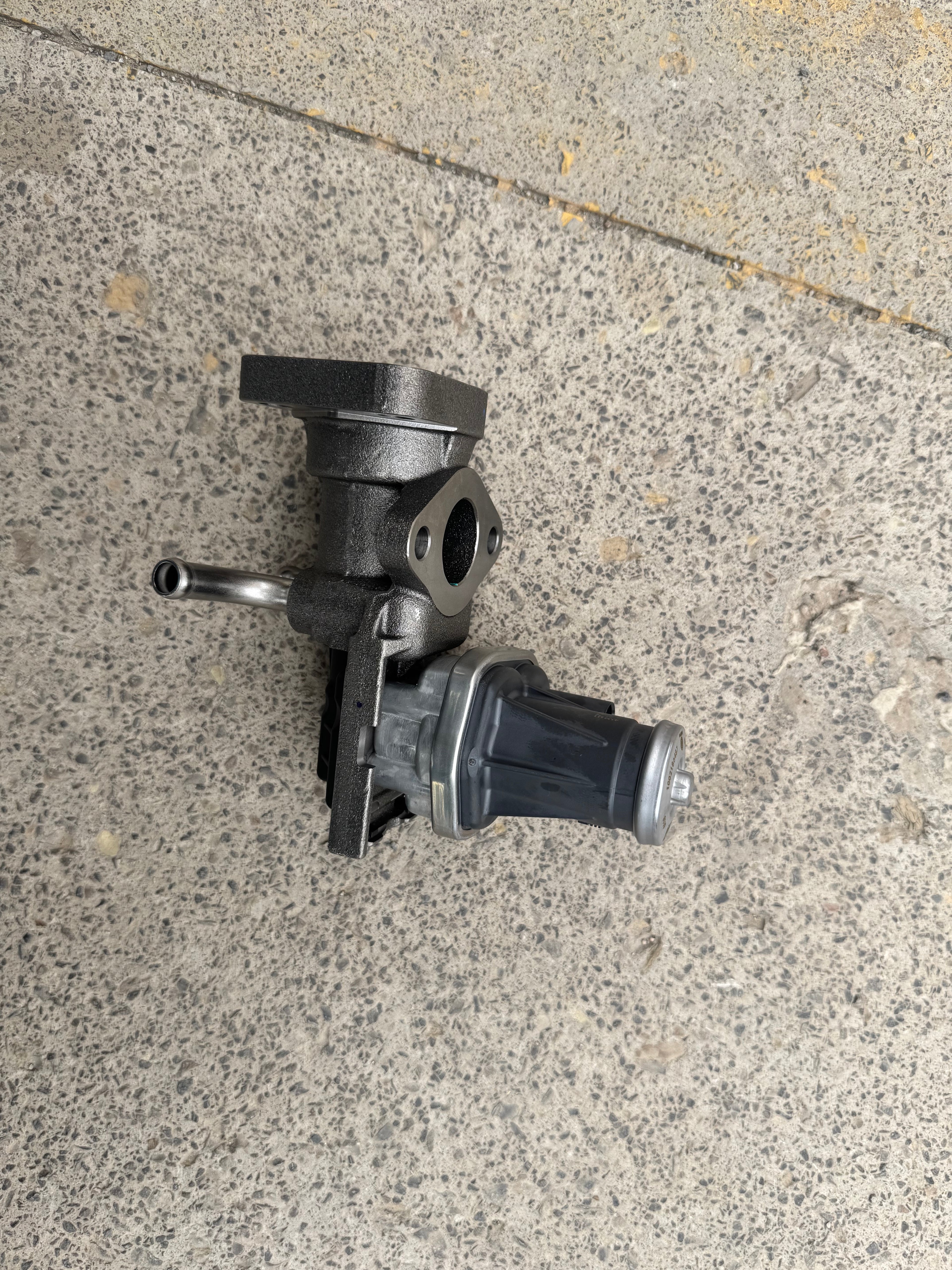 1002186487 EGR valve OEM