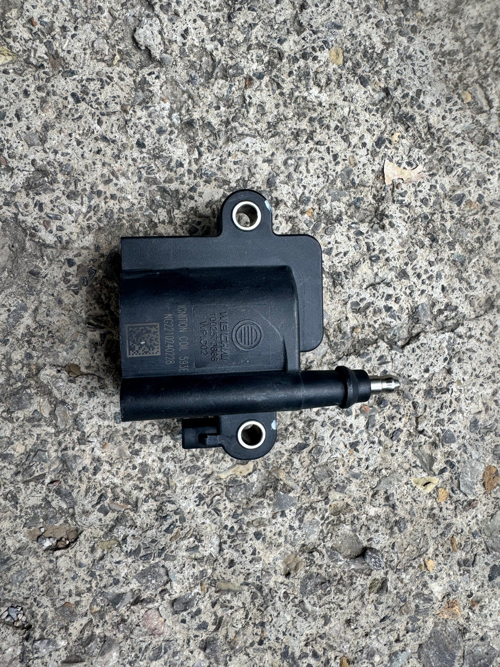 1002570666 Ignition Coil OEM