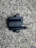 1002570666 Ignition Coil OEM