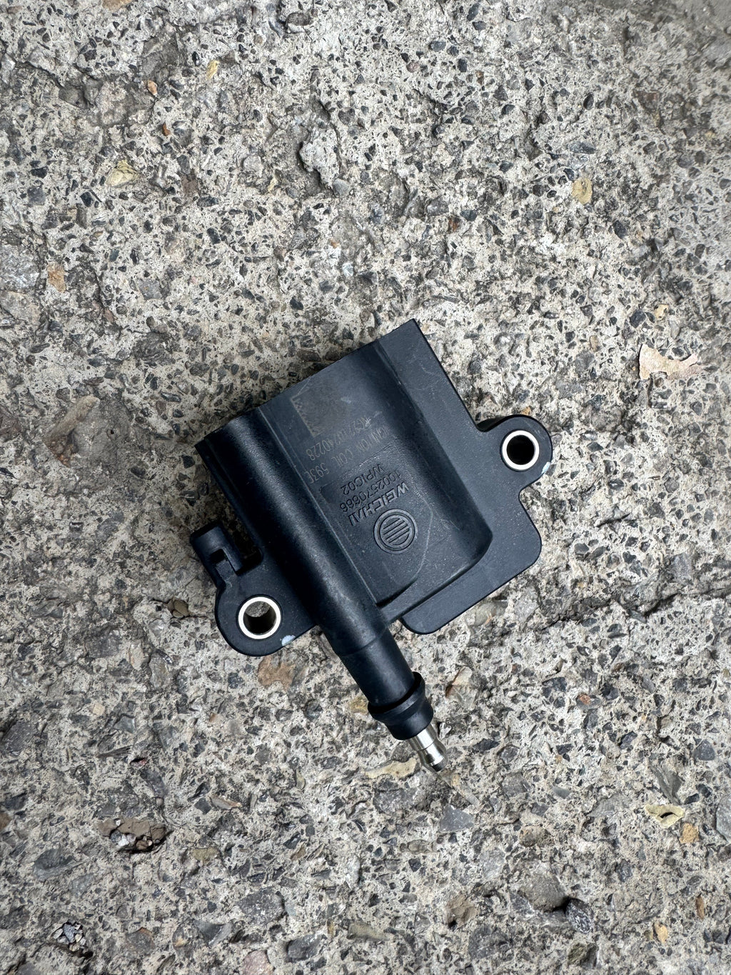 1002570666 Ignition Coil OEM