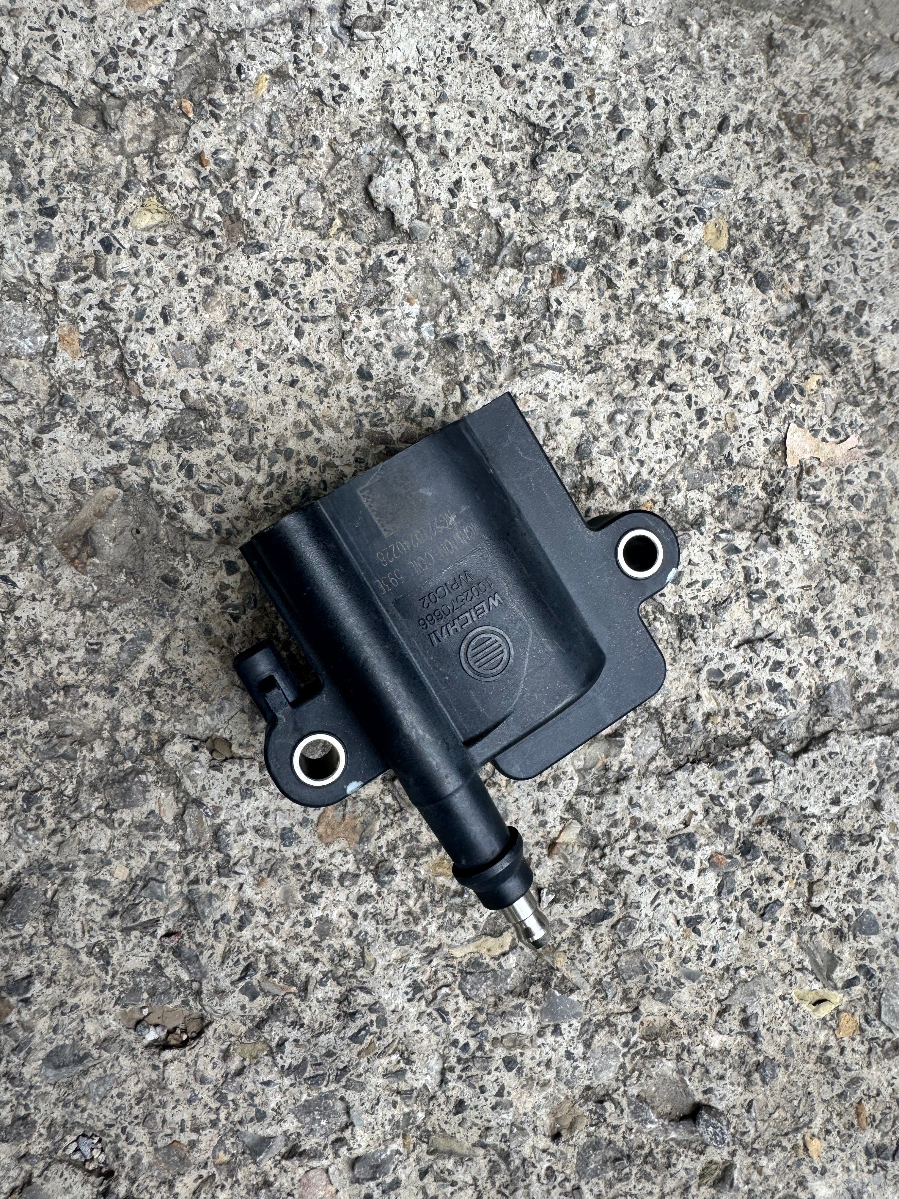 1002570666 Ignition Coil OEM
