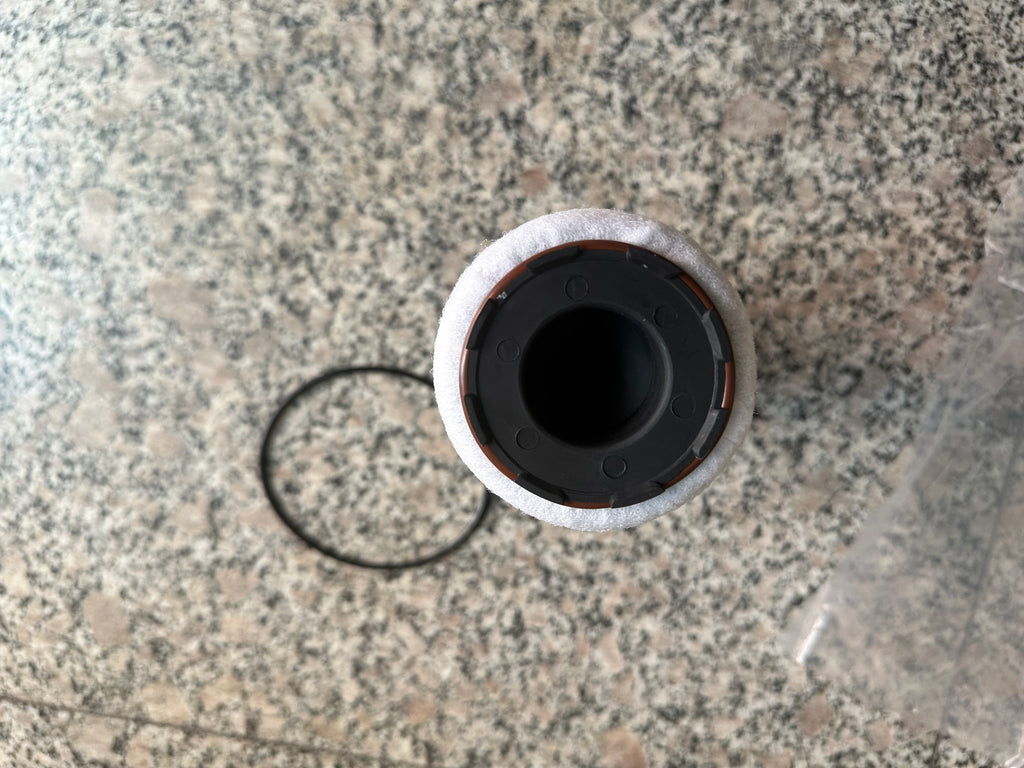 1006101168 Low pressure filter OEM