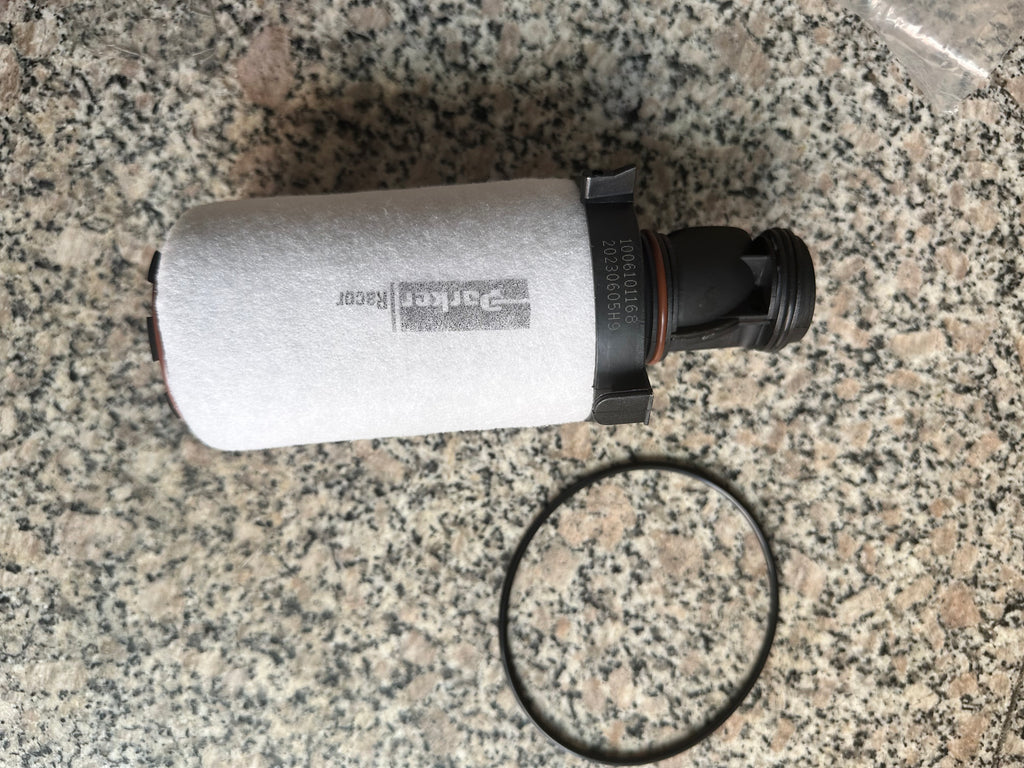 1006101168 Low pressure filter OEM