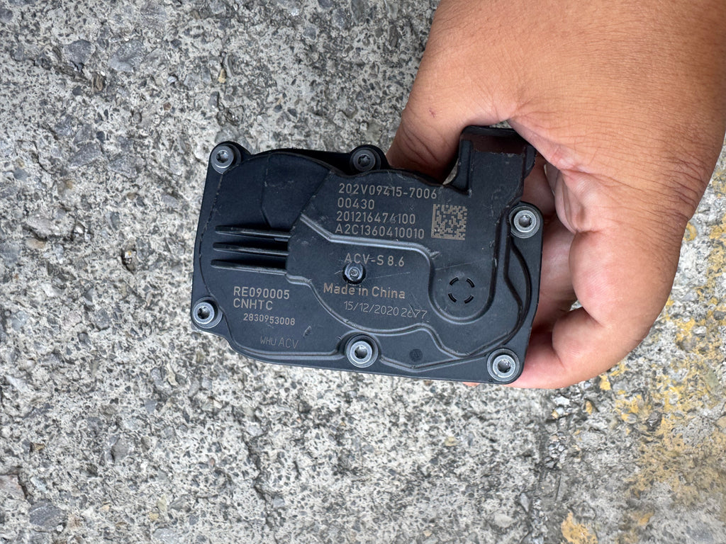 202V09415-7006 Throttle OEM
