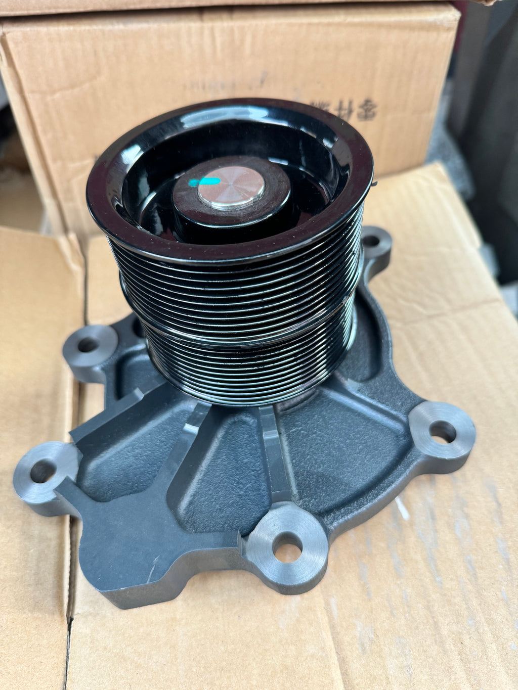 1000181443 Engine Water Pump OEM