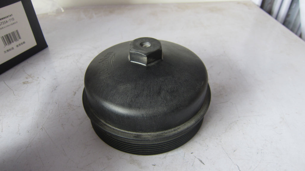 1001952611 Fuel Filter Cover OEM