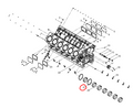 331001000192  Thrust Plate Set  21 OEM