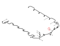 13625511N  Pipe OEM  4