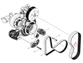 1000692961  Poly V Belt   OEM 3