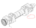 1000073843  Crankshaft Subassembly OEM 1