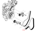 612630060212  Poly V Belt OEM 4