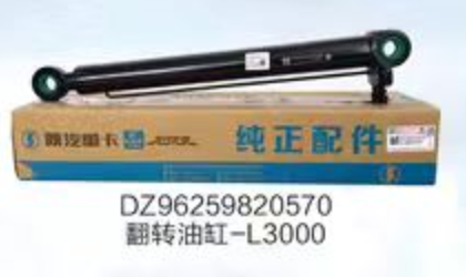 DZ96259820570 lifting cylinder OEM