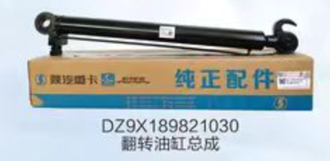 DZ9X189821030 lifting cylinder OEM