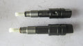 612630090022 Fuel Injector Assembly OEM